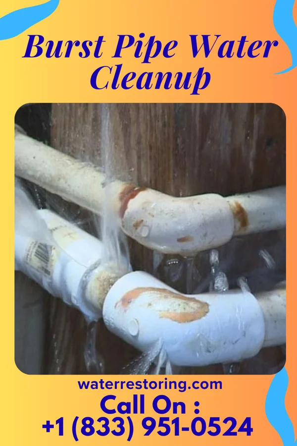 Burst Pipe Water Cleanup in Troutman, NC