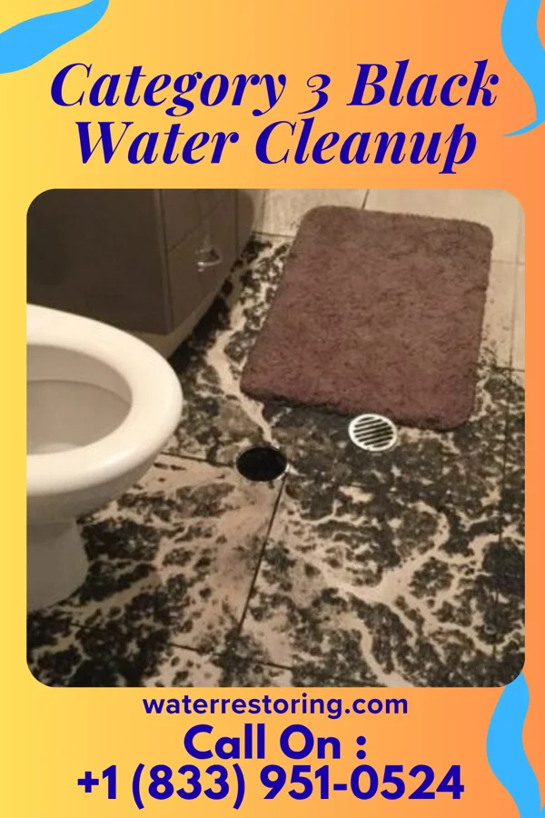 Category 3 Black Water Cleanup in Troutman, NC