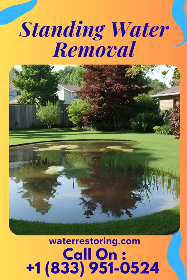 Standing Water Removal in Troutman, NC